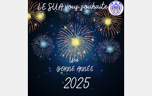 Bonne année 2025 !