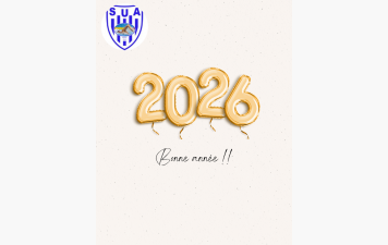 Bonne année 2026 !!