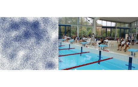 Compétition du 31 mai à Agen - engagements