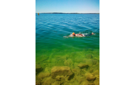 Résultats eau libre - Lac d'Orient dimanche 29 Juin